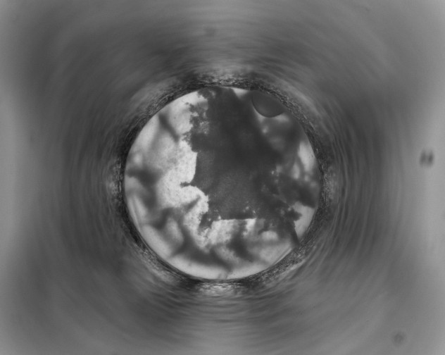 X0000097910181200804111123