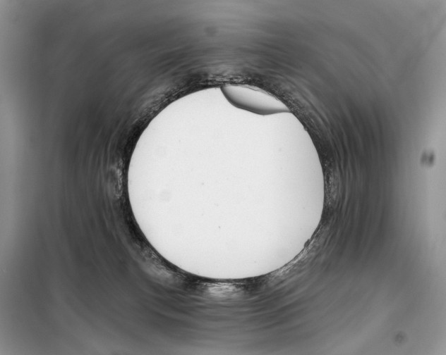 X0000097910183200804111123