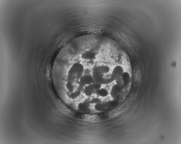 X0000097910185200804111123