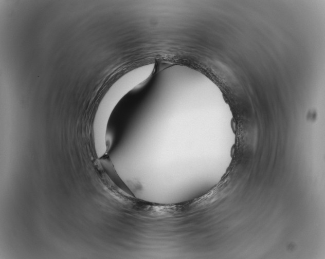 X0000097910188200804111123