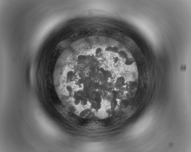 X0000097910189200804111123