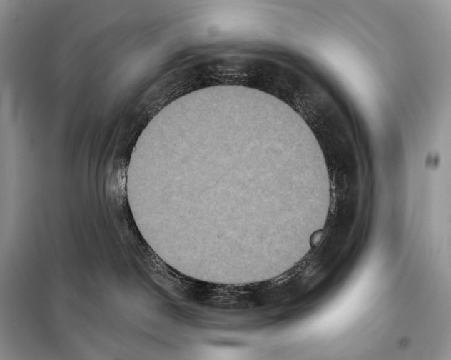 X0000097910190200804111123