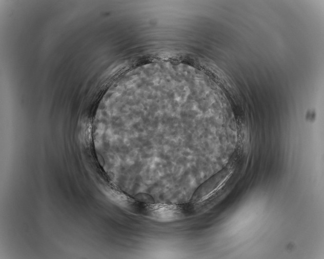 X0000097910191200804111123