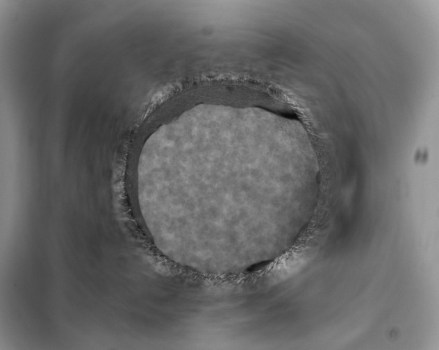 X0000097910192200804111123