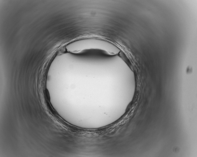 X0000097910193200804111122