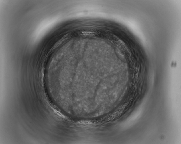 X0000097910194200804111122