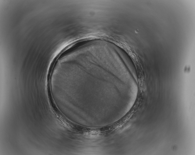 X0000097910196200804111122