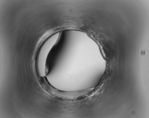 X0000097910197200804111122