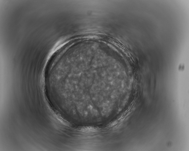 X0000097910198200804111122