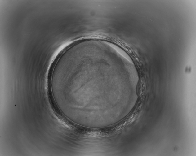 X0000097910200200804111122