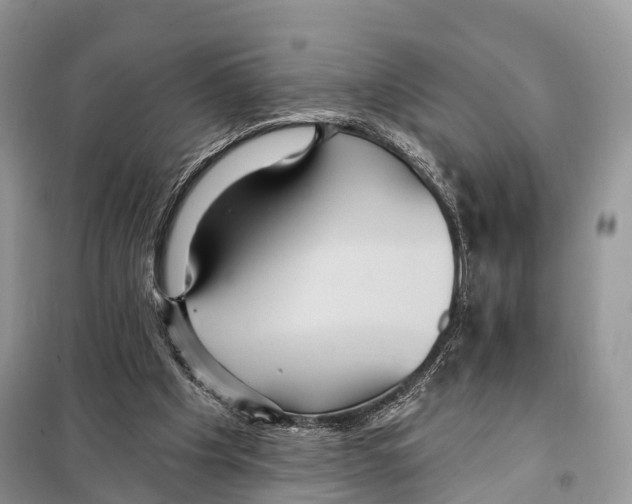 X0000097910201200804111122