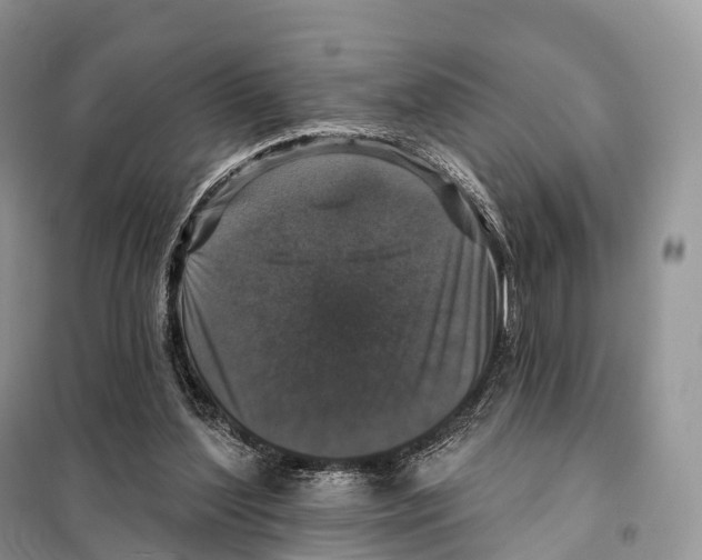 X0000097910204200804111122