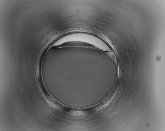 X0000097910205200804111122