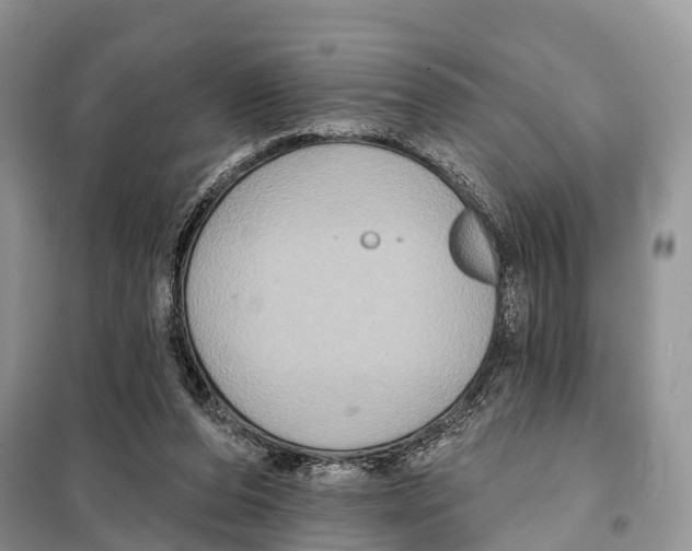 X0000097910208200804111122