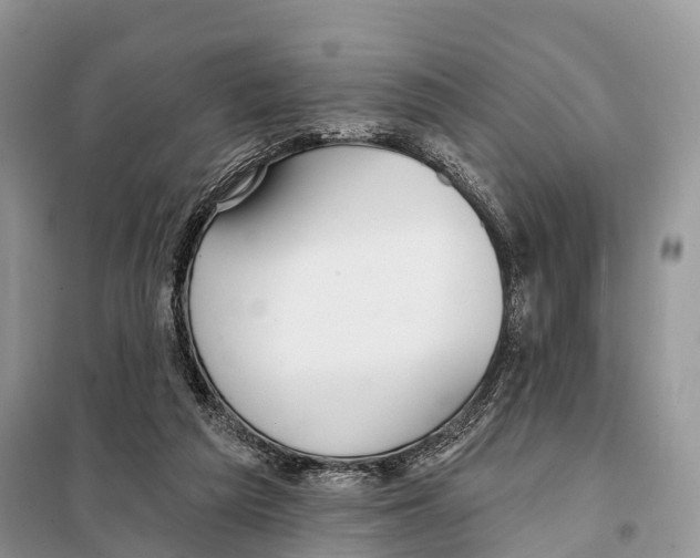 X0000097910209200804111122