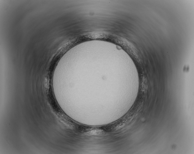 X0000097910210200804111122