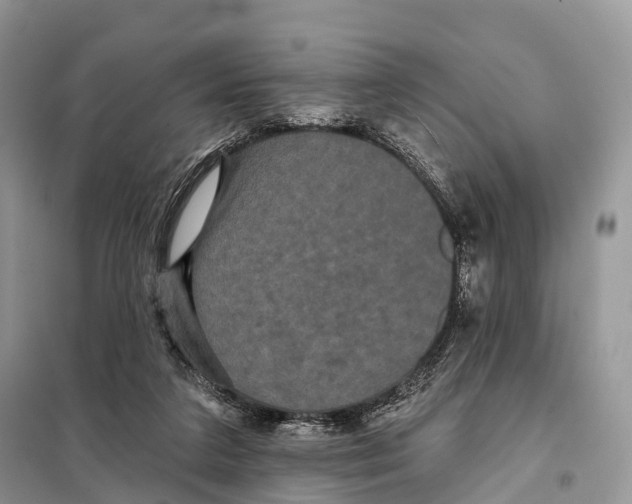 X0000097910211200804111122