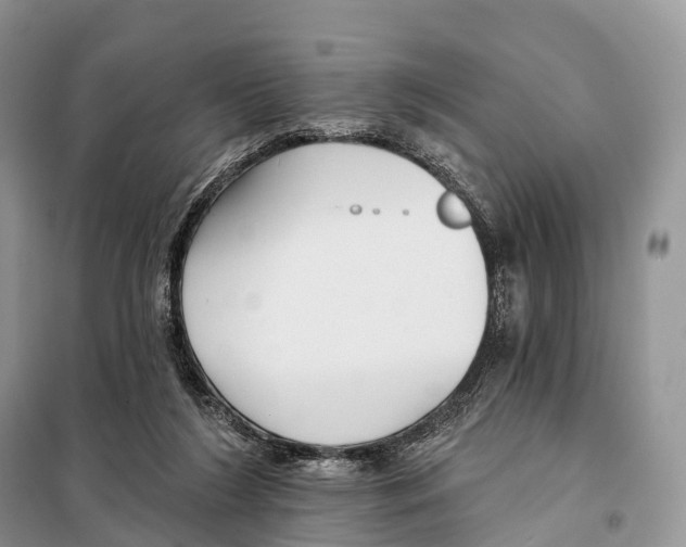 X0000097910212200804111122