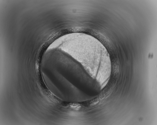 X0000097910214200804111122