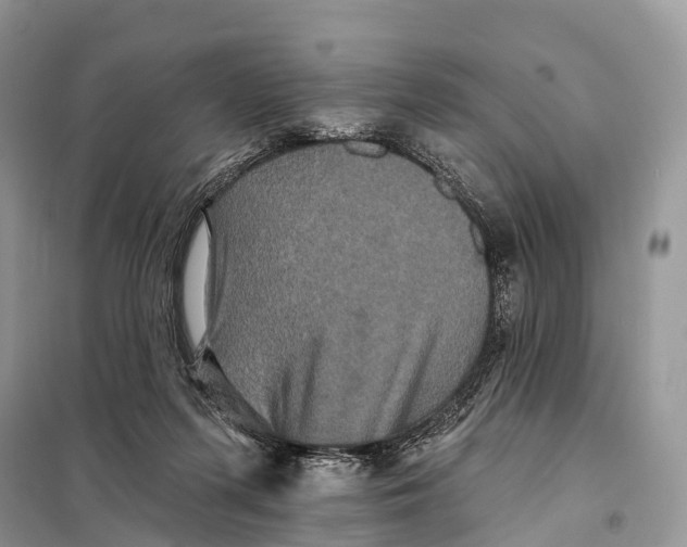 X0000097910215200804111122