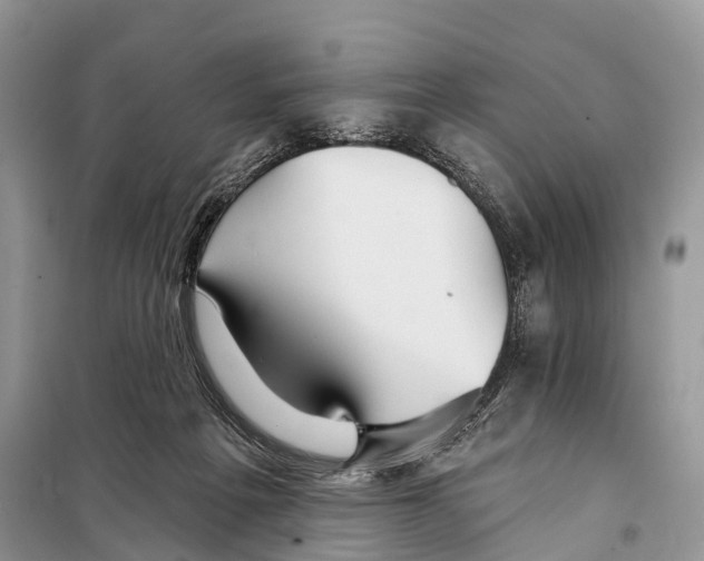 X0000097910217200804111122