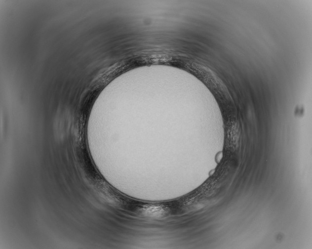 X0000097910218200804111122