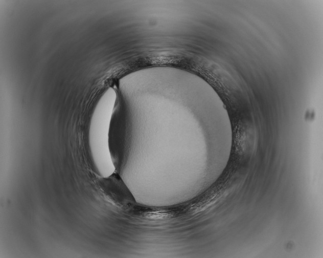 X0000097910219200804111122