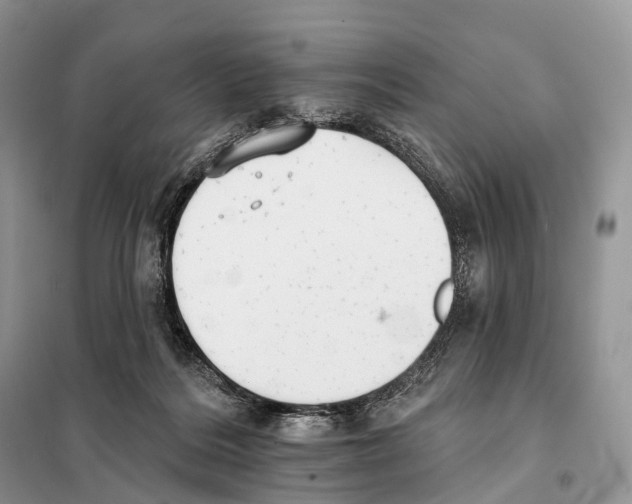 X0000097910220200804111122