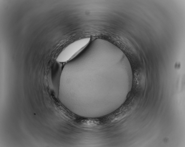 X0000097910223200804111122