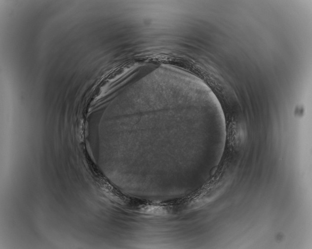 X0000097910224200804111122