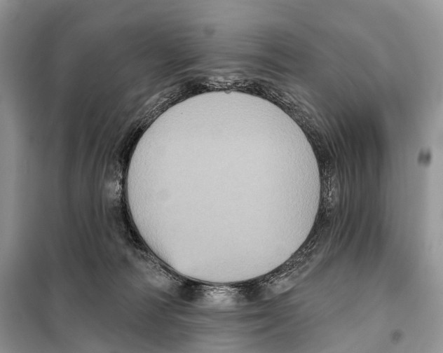 X0000097910226200804111122