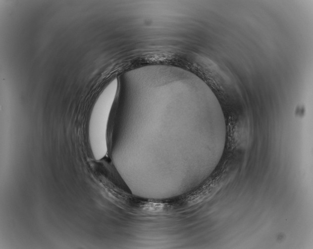 X0000097910227200804111122