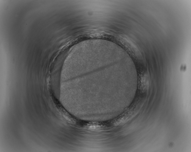 X0000097910228200804111121