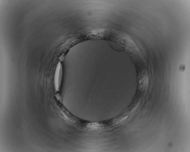 X0000097910231200804111121