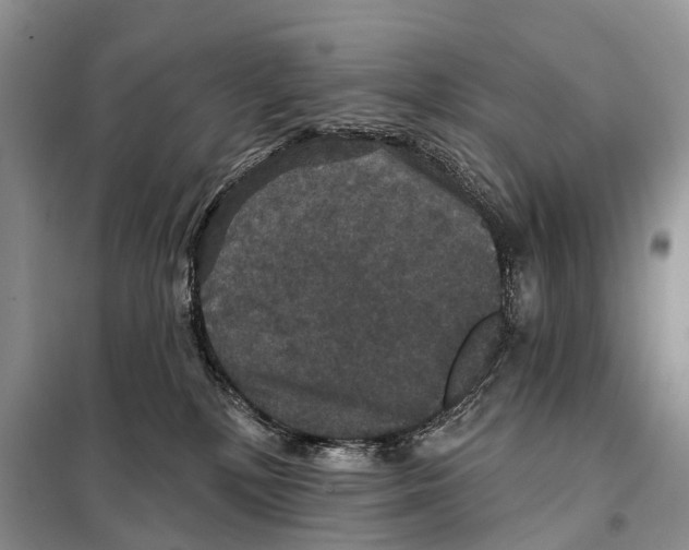 X0000097910232200804111121