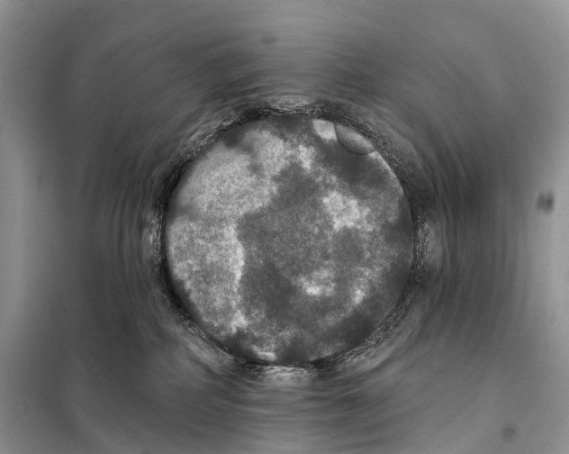 X0000097910234200804111121