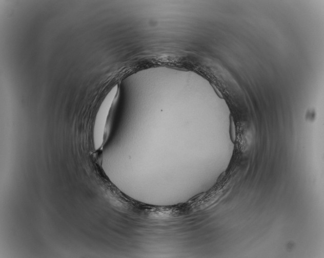 X0000097910235200804111121