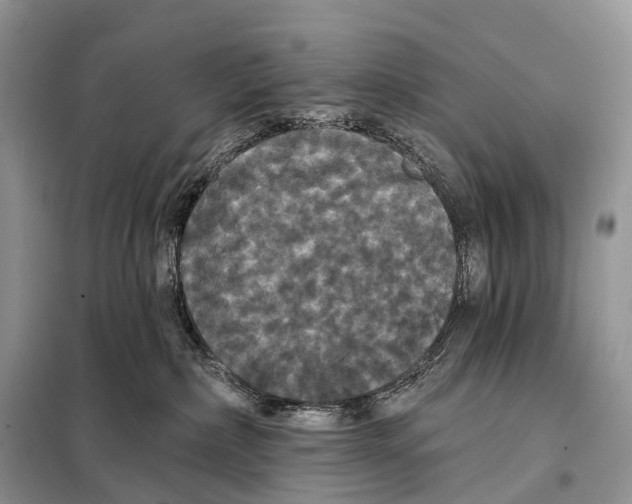 X0000097910236200804111121