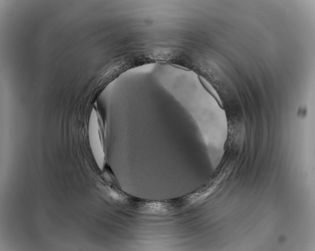 X0000097910237200804111121