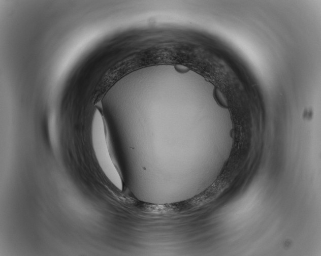 X0000097910239200804111121