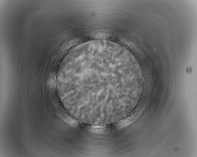 X0000097910240200804111121