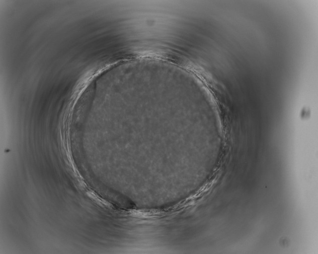 X0000097910241200804111120