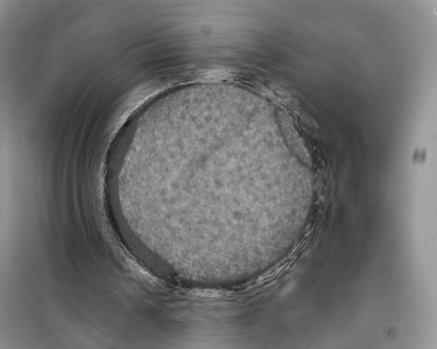 X0000097910242200804111120