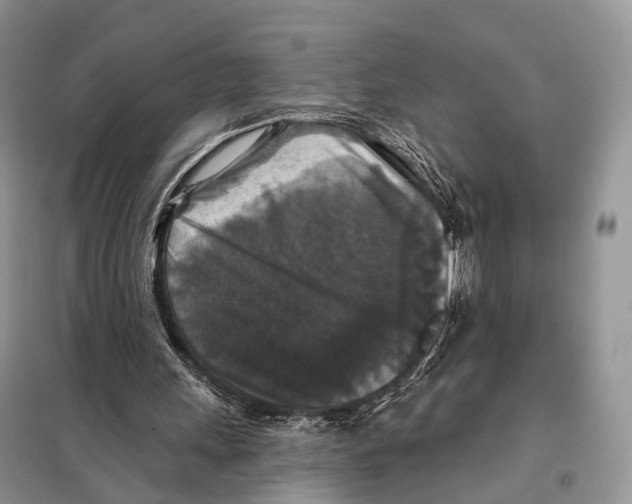 X0000097910243200804111120