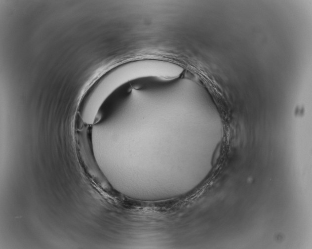 X0000097910244200804111120