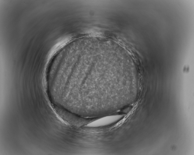 X0000097910245200804111120