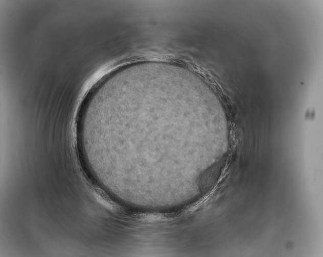 X0000097910246200804111120