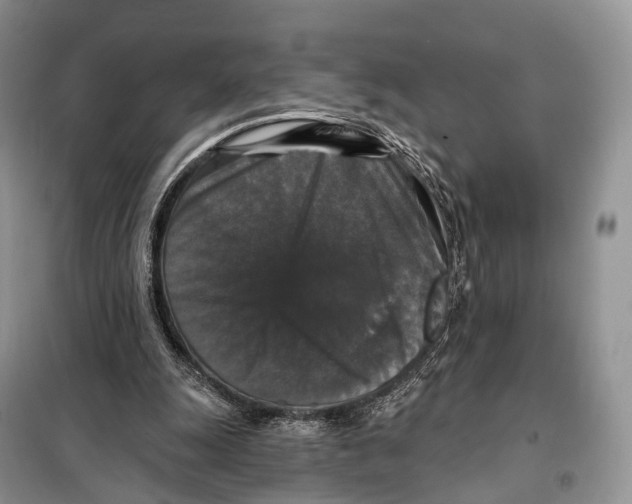 X0000097910247200804111120