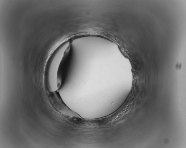 X0000097910248200804111120