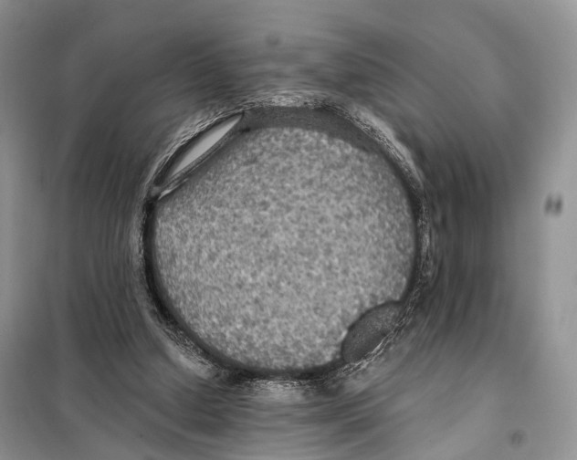 X0000097910250200804111120